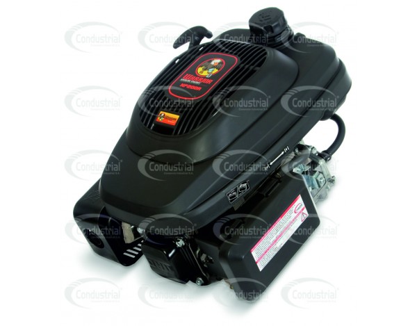 Motor WARRIOR GASOLINA XP200