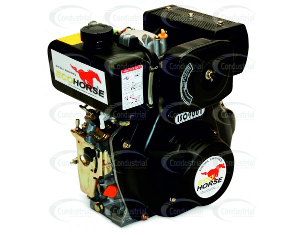 Motor DIESEL ECOHORSE KD178FS-2