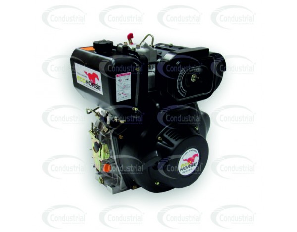 Motor diesel ecohorse kd192fp1-2 condustrial