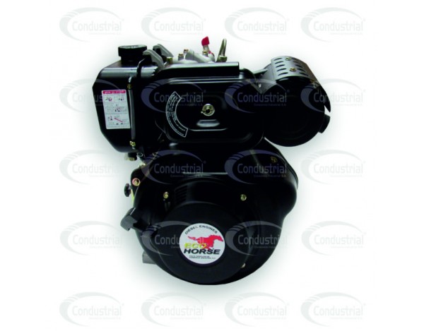 Motor DIESEL ECOHORSE KD178FP1-2