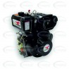 Motor DIESEL ECOHORSE KD178FP1-2