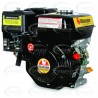 Motor WARRIOR GASOLINA ZS168FB-6