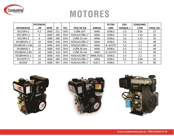Motor DIESEL ECOHORSE KD170FA-2