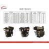 Motor DIESEL ECOHORSE KD170FA-2