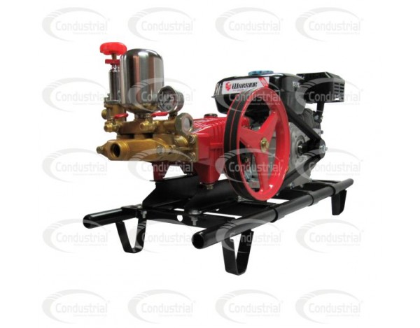 FUMIGADORA ESTACIONARIA A GASOLINA 4T - CONDUSTRIAL - FE30-6.5WG