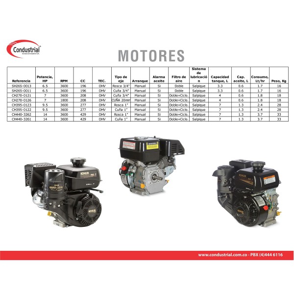 MOTOR A GASOLINA KOHLER CH395-3227