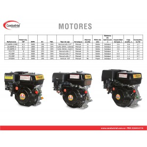 Motor WARRIOR GASOLINA XP200