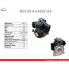 MOTOR A GASOLINA WARRIOR DK149