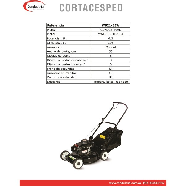 Cortacesped WB21-65W