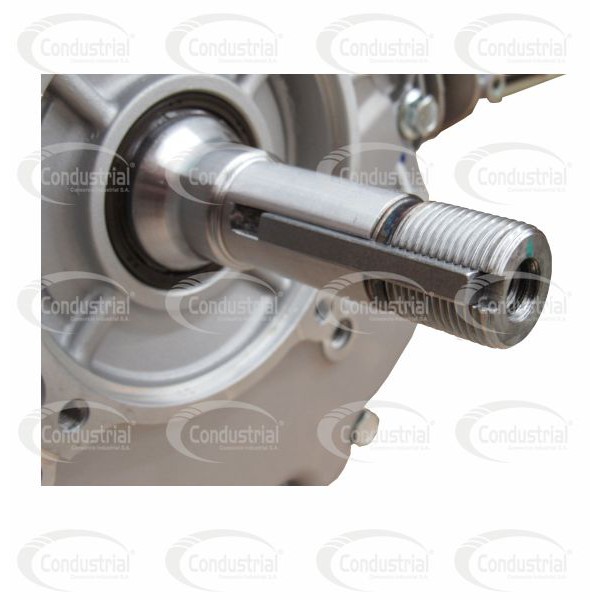 MOTOR A GASOLINA - WARRIOR PREMIUM - R500-V2