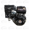 MOTOR A GASOLINA - WARRIOR PREMIUM - R500-V2