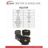 Motor WARRIOR GASOLINA ZS177F