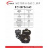 Motor WARRIOR GASOLINA ZS168FB-3/4