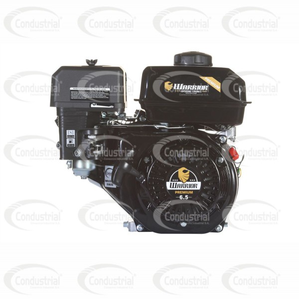 Motor WARRIOR GASOLINA ZS168FB-3/4