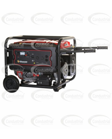 PLANTA ELECTRICA A GASOLINA WARRIOR PREMIUM R6000DP-8