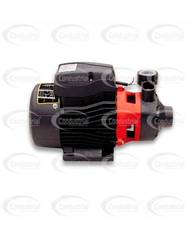 ELECTROBOMBA PERIFERICA APM75