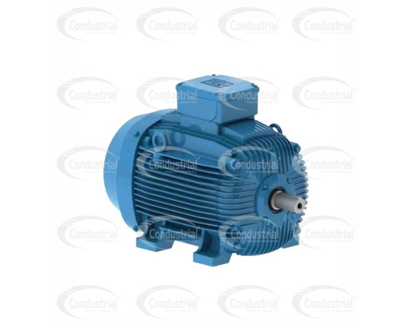 MOTOR ELECTRICO TRIFASICO - WEG - PG005363AQA